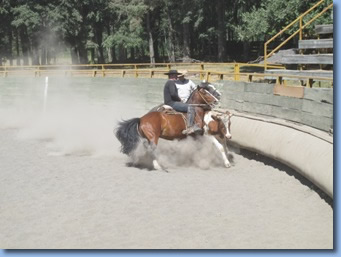 2 riders chasing a bull on a rodeo clinic at Antilco, Chile